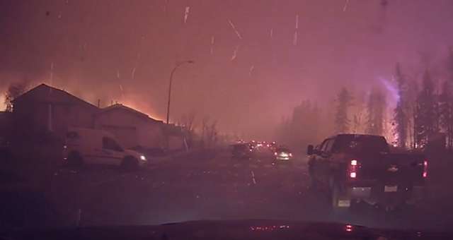 Forest fire emergency declared in Russian Far East